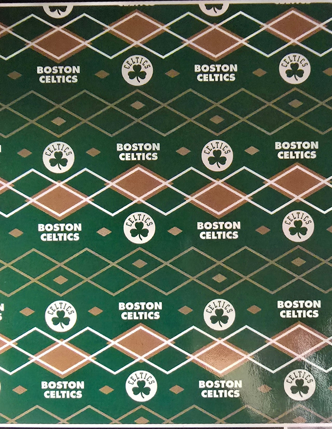 Boston Celtics 60" x 70" Reversible Coco Flannel Fur Throw