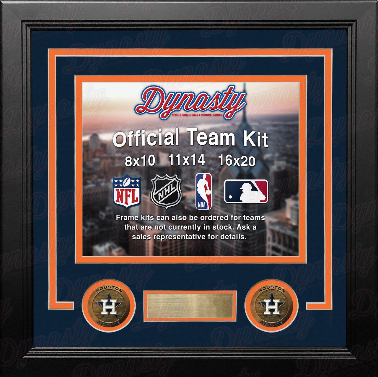 Houston Astros Custom MLB Baseball 16x20 Picture Frame Kit (Multiple Colors) - Dynasty Sports & Framing