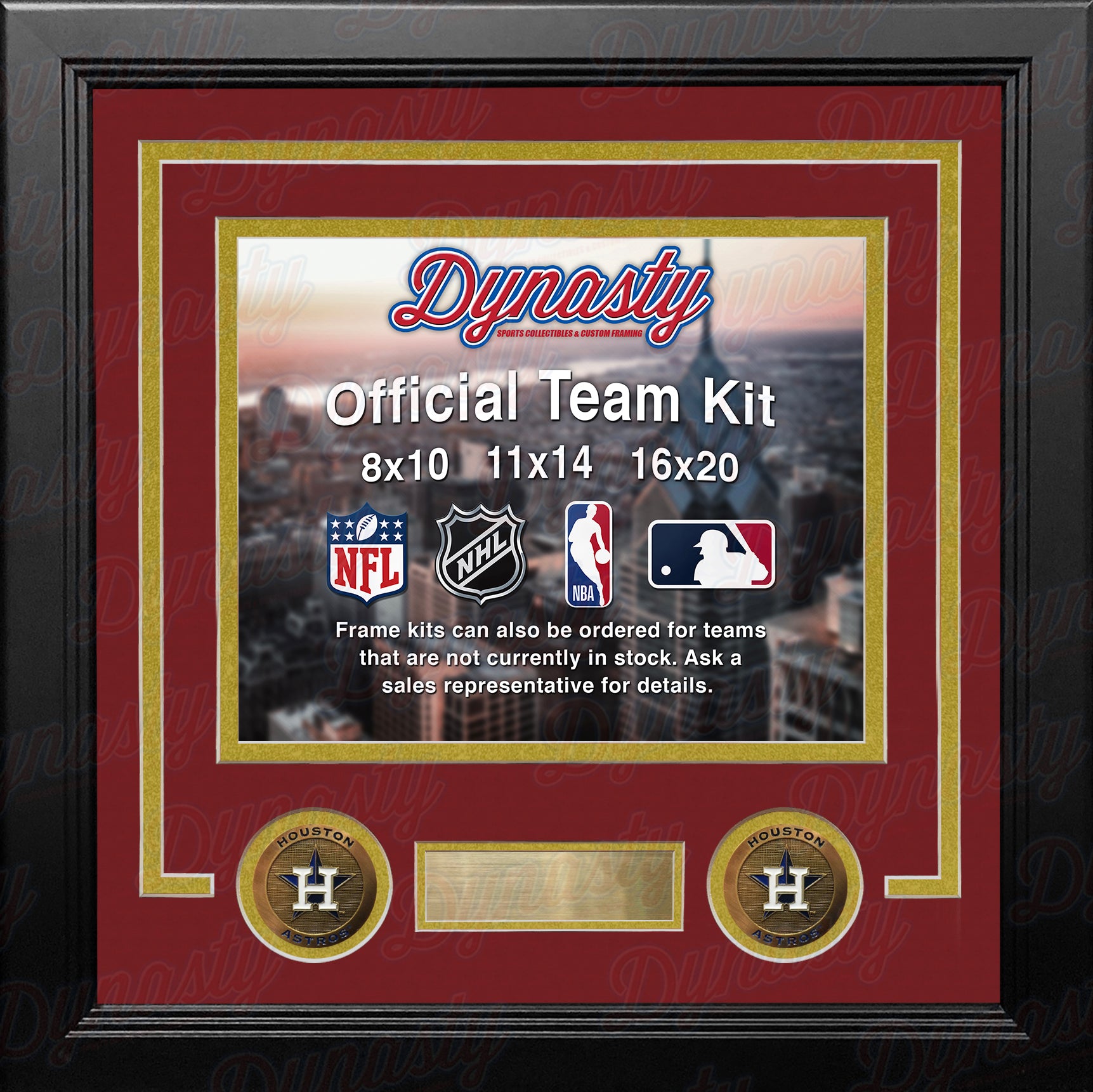 MLB Baseball Photo Picture Frame Kit - Houston Astros (Brick Red Matting, Gold Trim) - Dynasty Sports & Framing 
