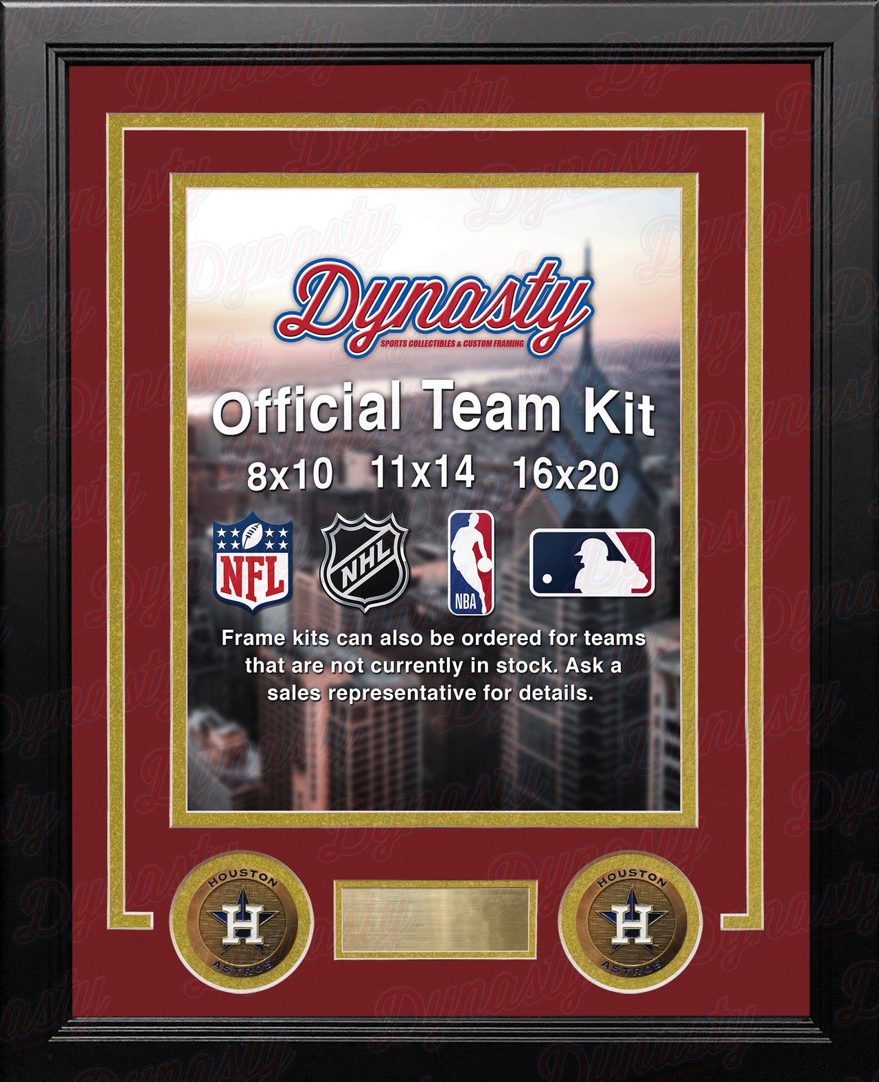 MLB Baseball Photo Picture Frame Kit - Houston Astros (Brick Red Matting, Gold Trim) - Dynasty Sports & Framing 