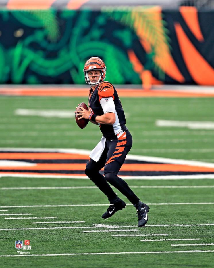 Joe Burrow in Action Cincinnati Bengals 8" x 10" Football Photo - Dynasty Sports & Framing 