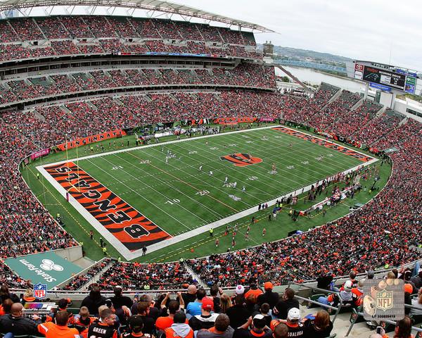 Cincinnati Bengals Paul Brown Stadium 8" x 10" Football Photo - Dynasty Sports & Framing 