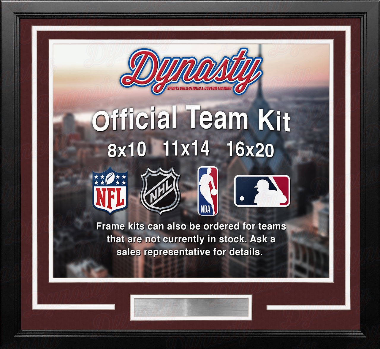 Colorado Avalanche Custom NHL Hockey 16x20 Picture Frame Kit (Multiple Colors) - Dynasty Sports & Framing