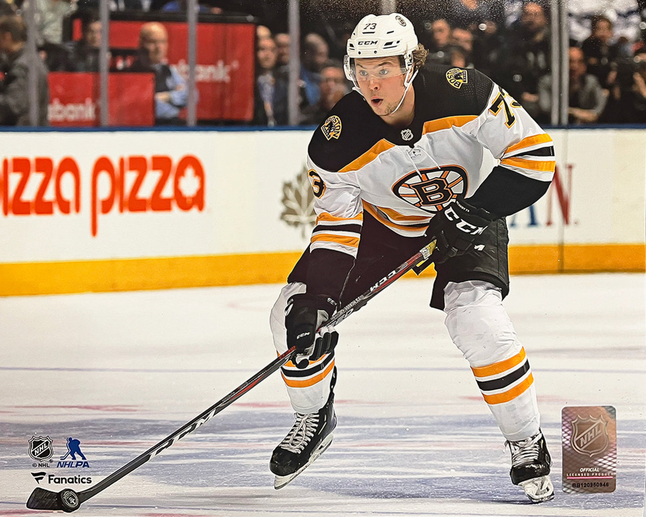 Charlie McAvoy in Action Boston Bruins 8" x 10" Hockey Photo - Dynasty Sports & Framing