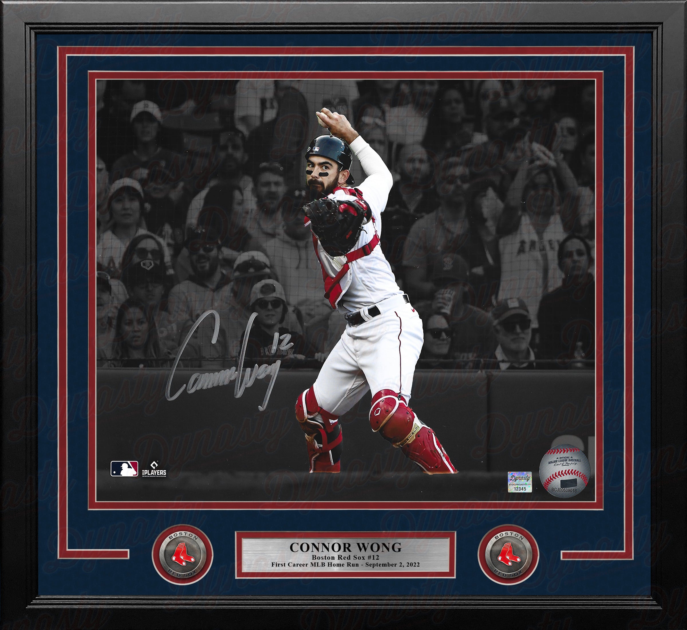 Connor Wong Throwing Action Boston Red Sox Autographed 16x20 Framed Spotlight Photo - Silver Sig