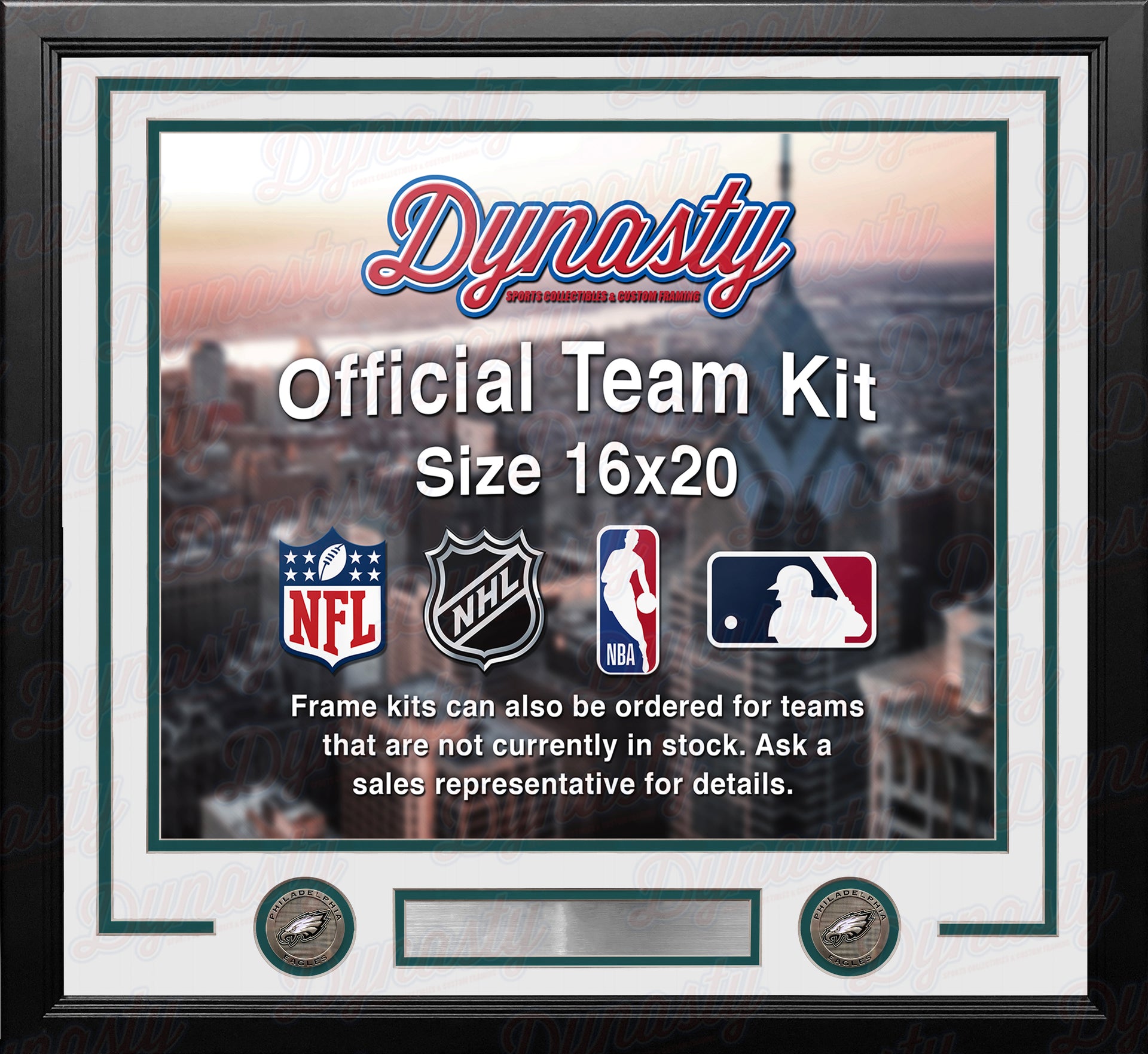 Philadelphia Eagles Custom NFL Football 16x20 Picture Frame Kit (Multiple Colors) - Dynasty Sports & Framing 