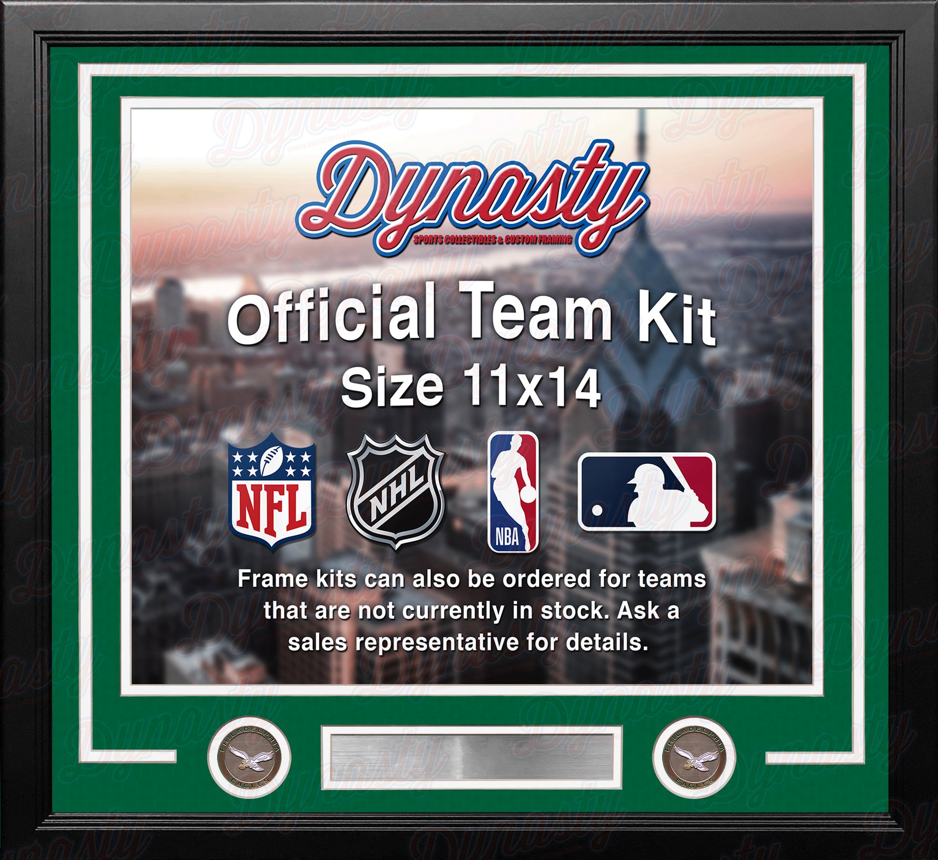 Philadelphia Eagles Throwback Custom NFL Football 11x14 Picture Frame Kit (Multiple Colors) - Dynasty Sports & Framing 