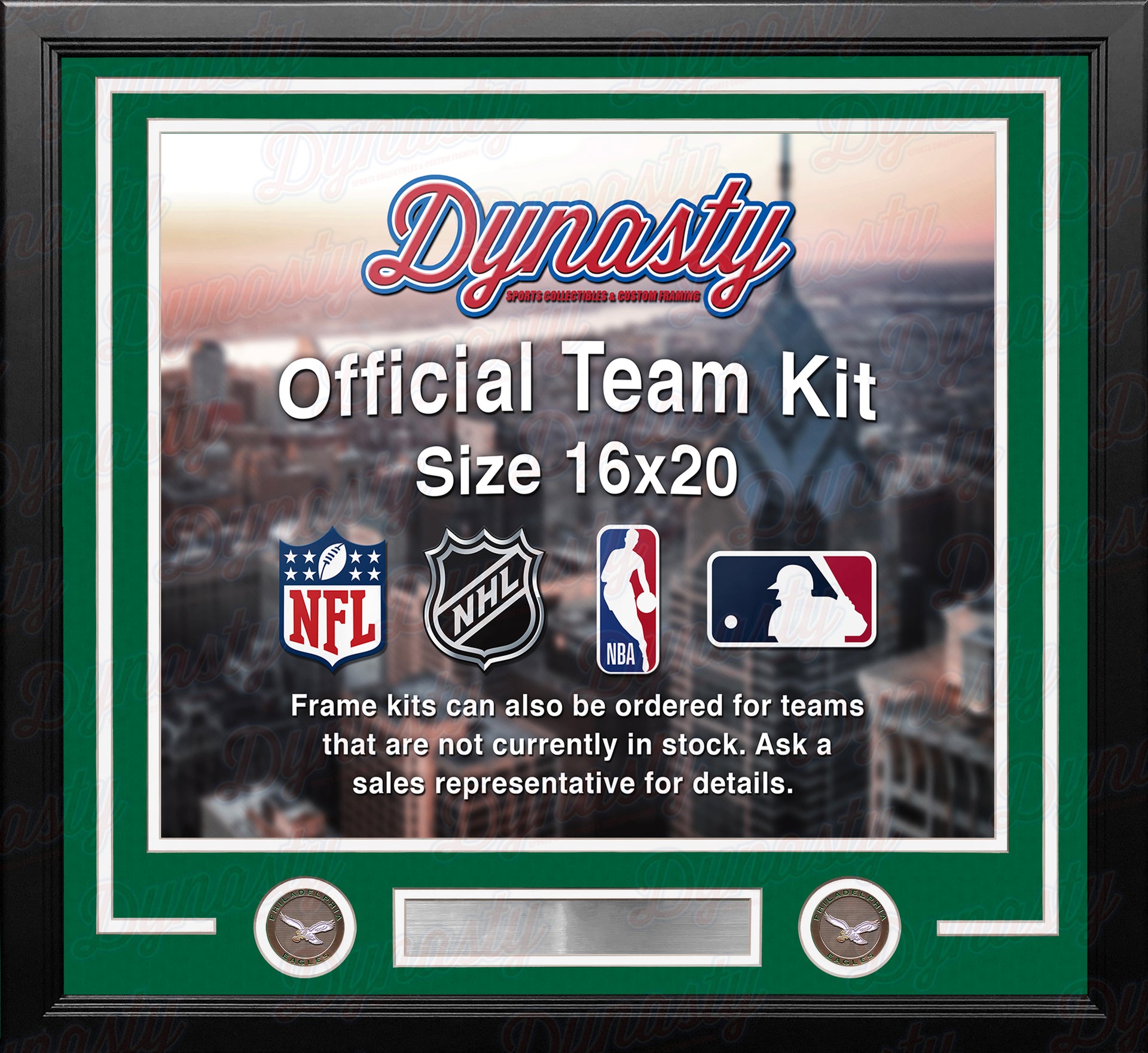 Philadelphia Eagles Throwback Custom NFL Football 16x20 Picture Frame Kit (Multiple Colors) - Dynasty Sports & Framing 