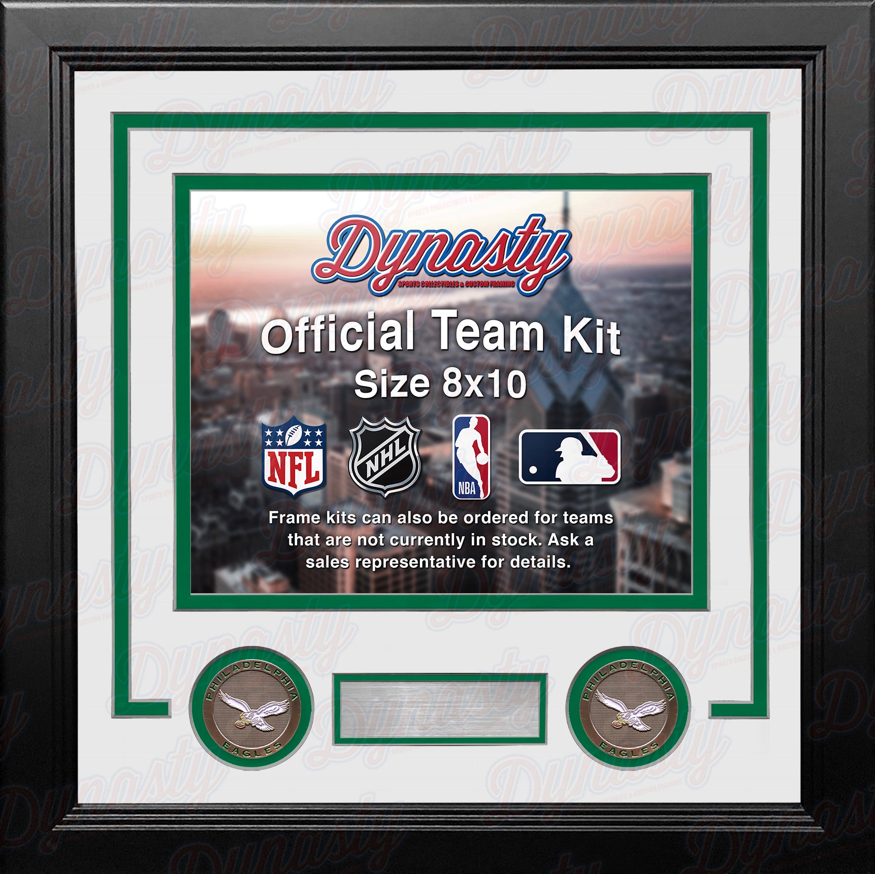 Philadelphia Eagles Throwback Custom NFL Football 8x10 Picture Frame Kit (Multiple Colors) - Dynasty Sports & Framing 