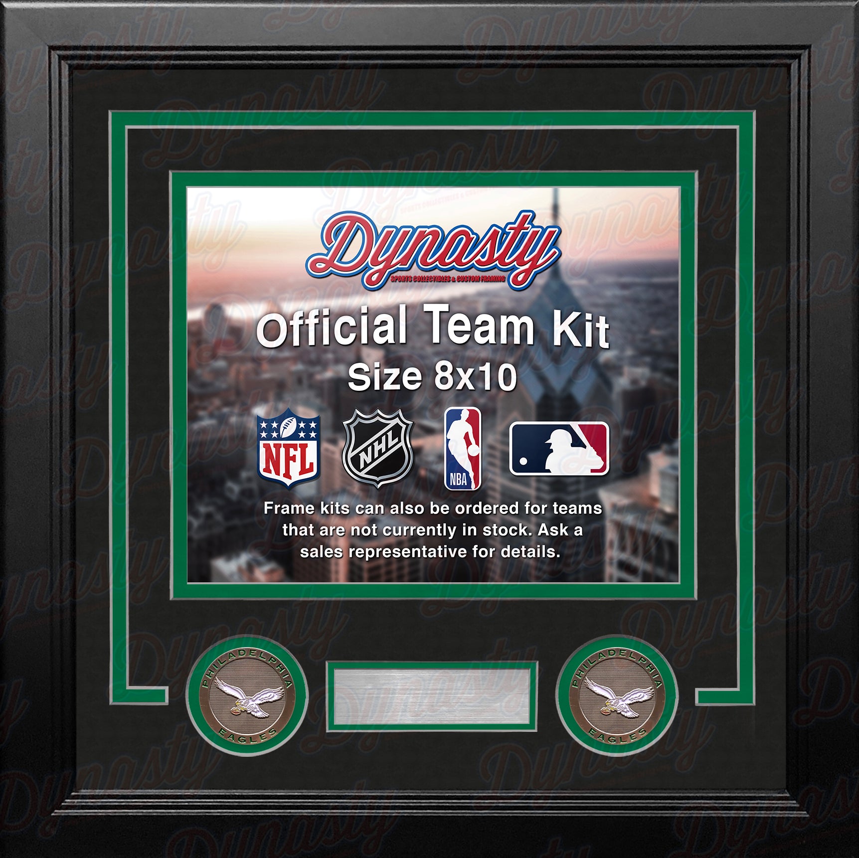 Philadelphia Eagles Throwback Custom NFL Football 8x10 Picture Frame Kit (Multiple Colors) - Dynasty Sports & Framing 