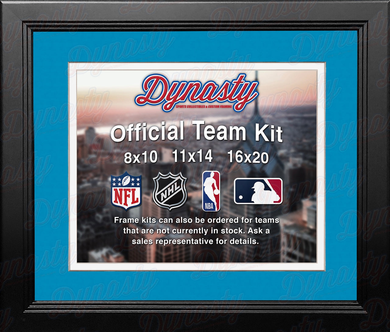 Detroit Lions Custom NFL Football 16x20 Picture Frame Kit (Multiple Colors) - Dynasty Sports & Framing 