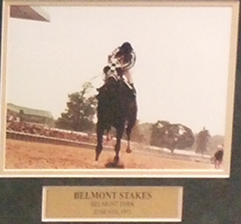 Ron Turcotte & Secretariat 1973 Triple Crown Winner Framed and Matted Horse Racing Collage - Dynasty Sports & Framing 