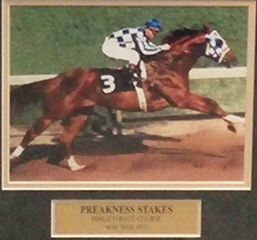 Ron Turcotte & Secretariat 1973 Triple Crown Winner Framed and Matted Horse Racing Collage - Dynasty Sports & Framing 