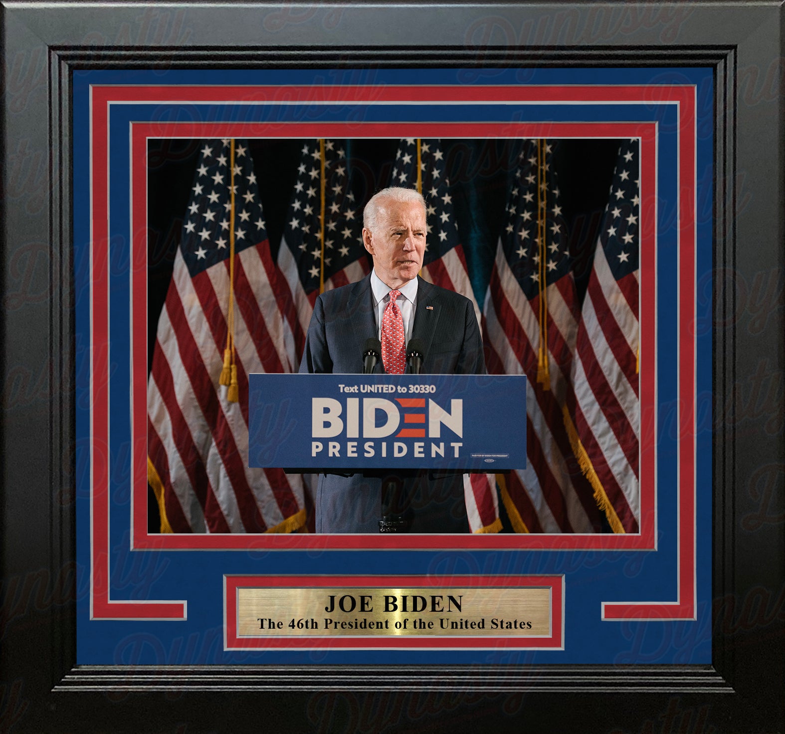 Joe Biden 46th President of the United States 8" x 10" Framed Photo - Dynasty Sports & Framing 