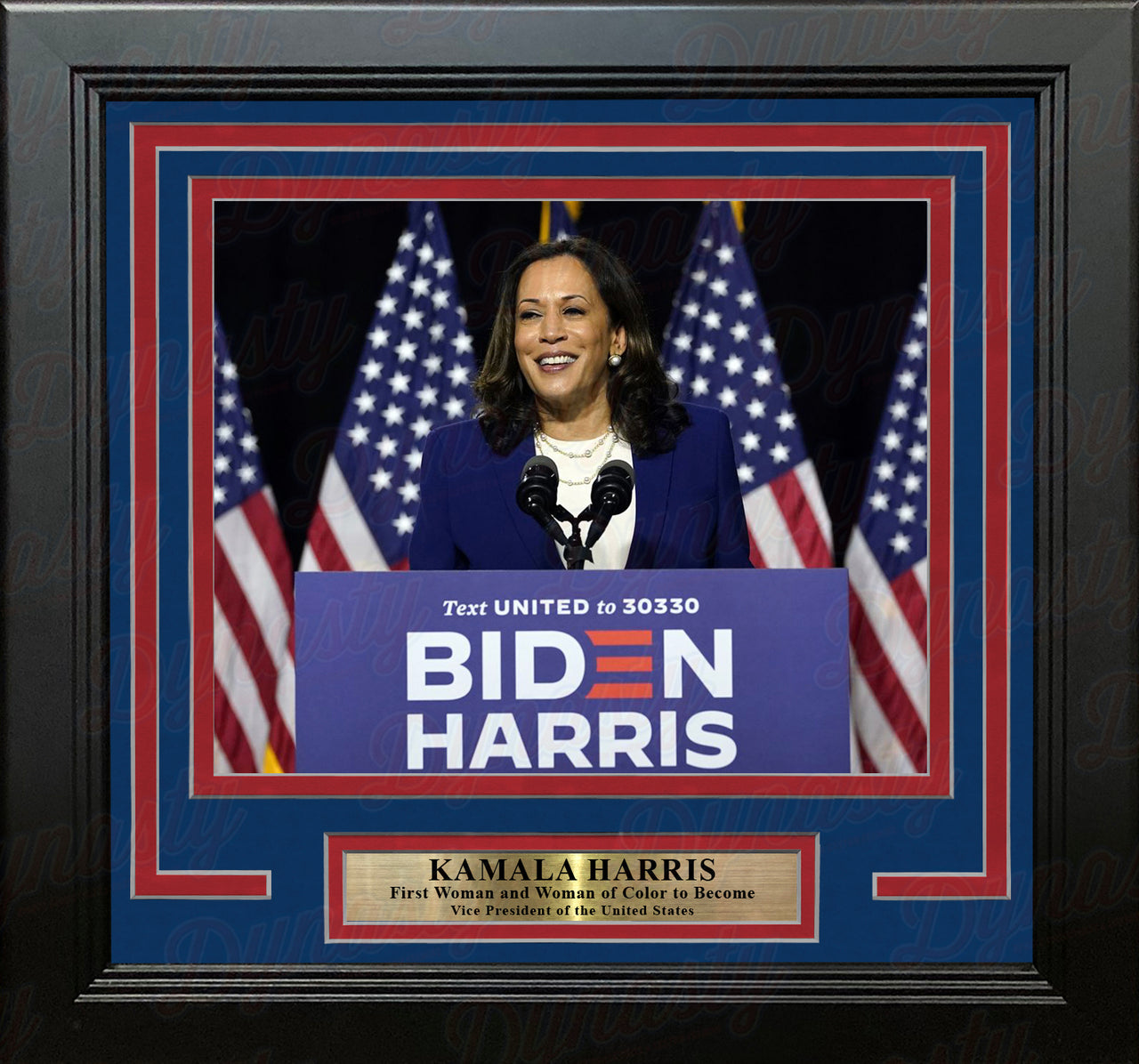 Kamala Harris First Woman of Color As Vice President 8" x 10" Framed Photo - Dynasty Sports & Framing 