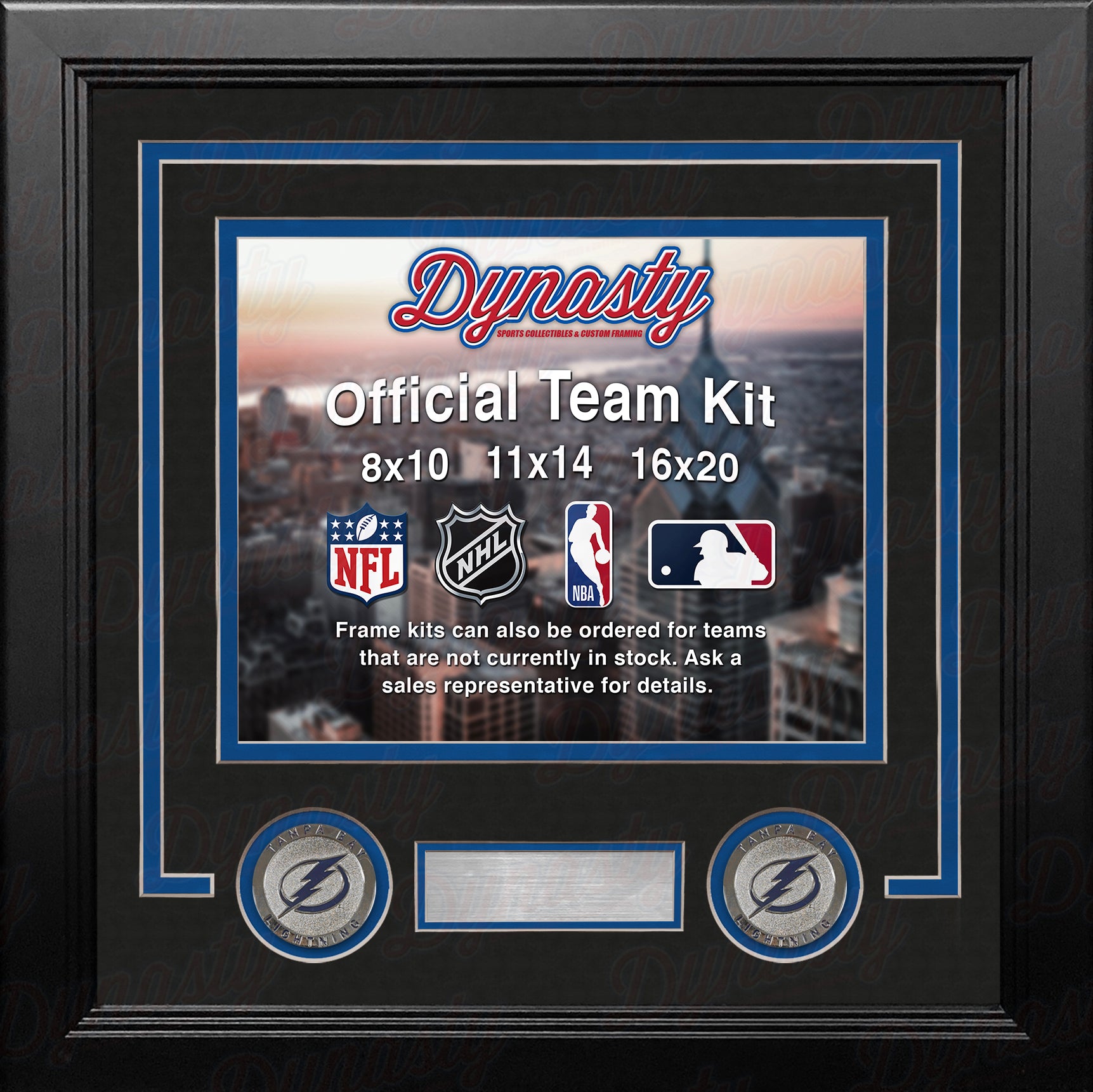 Tampa Bay Lightning Custom NHL Hockey 8x10 Picture Frame Kit (Multiple Colors) - Dynasty Sports & Framing 