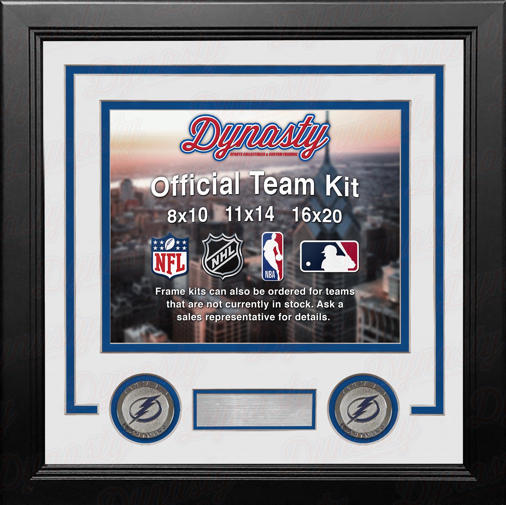 Tampa Bay Lightning Custom NHL Hockey 8x10 Picture Frame Kit (Multiple Colors) - Dynasty Sports & Framing 