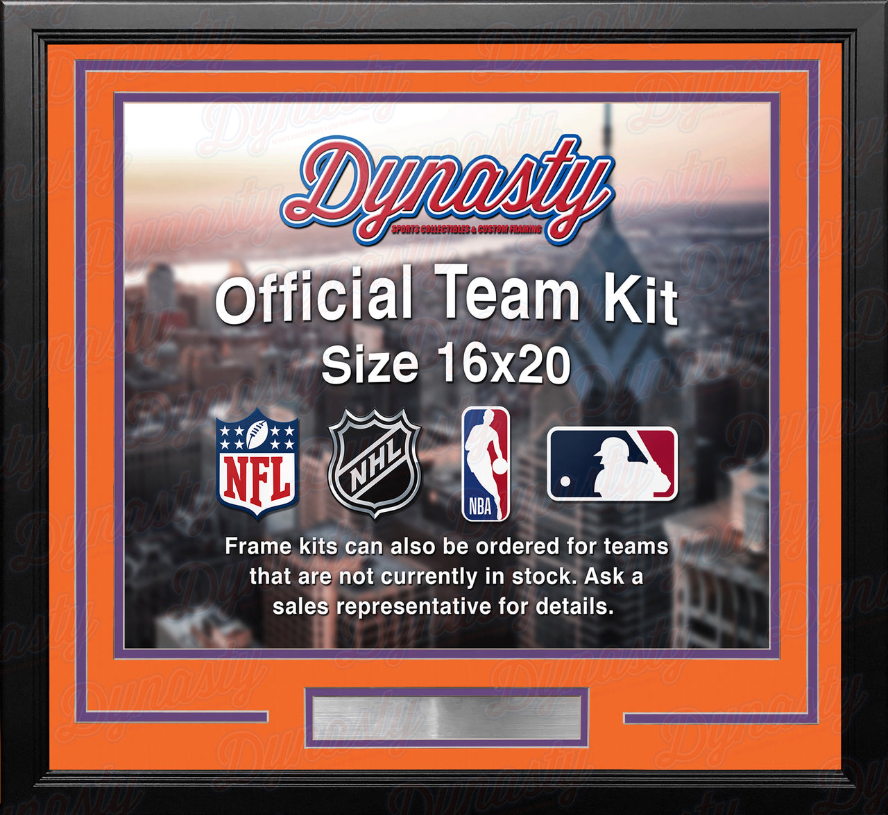 Phoenix Suns Custom NBA Basketball 16x20 Picture Frame Kit (Multiple Colors) - Dynasty Sports & Framing 