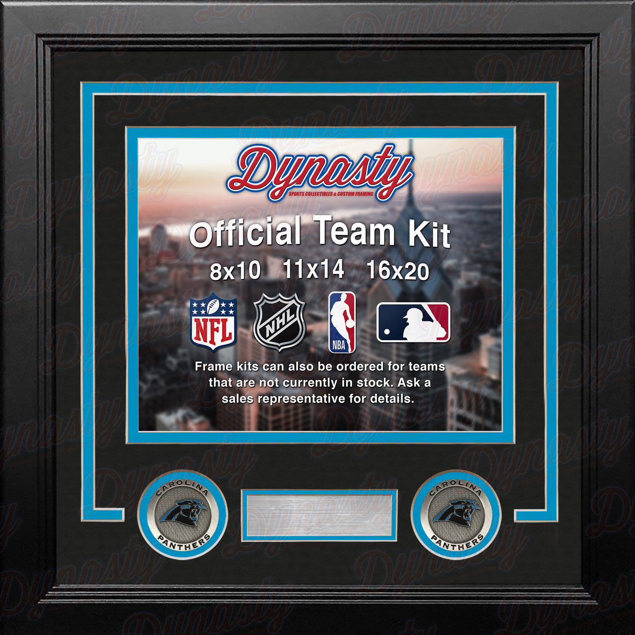 NFL Football Photo Picture Frame Kit - Carolina Panthers (Black Matting, Blue Trim) - Dynasty Sports & Framing 