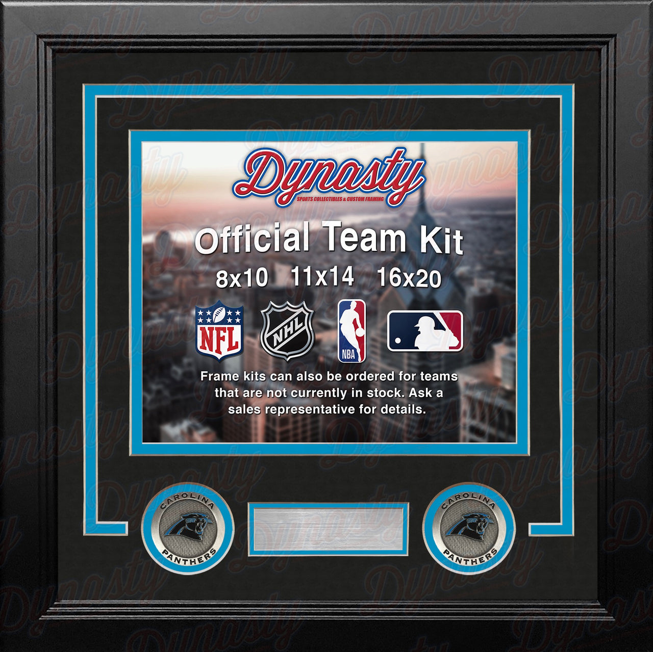 Carolina Panthers Custom NFL Football 11x14 Picture Frame Kit (Multiple Colors) - Dynasty Sports & Framing 