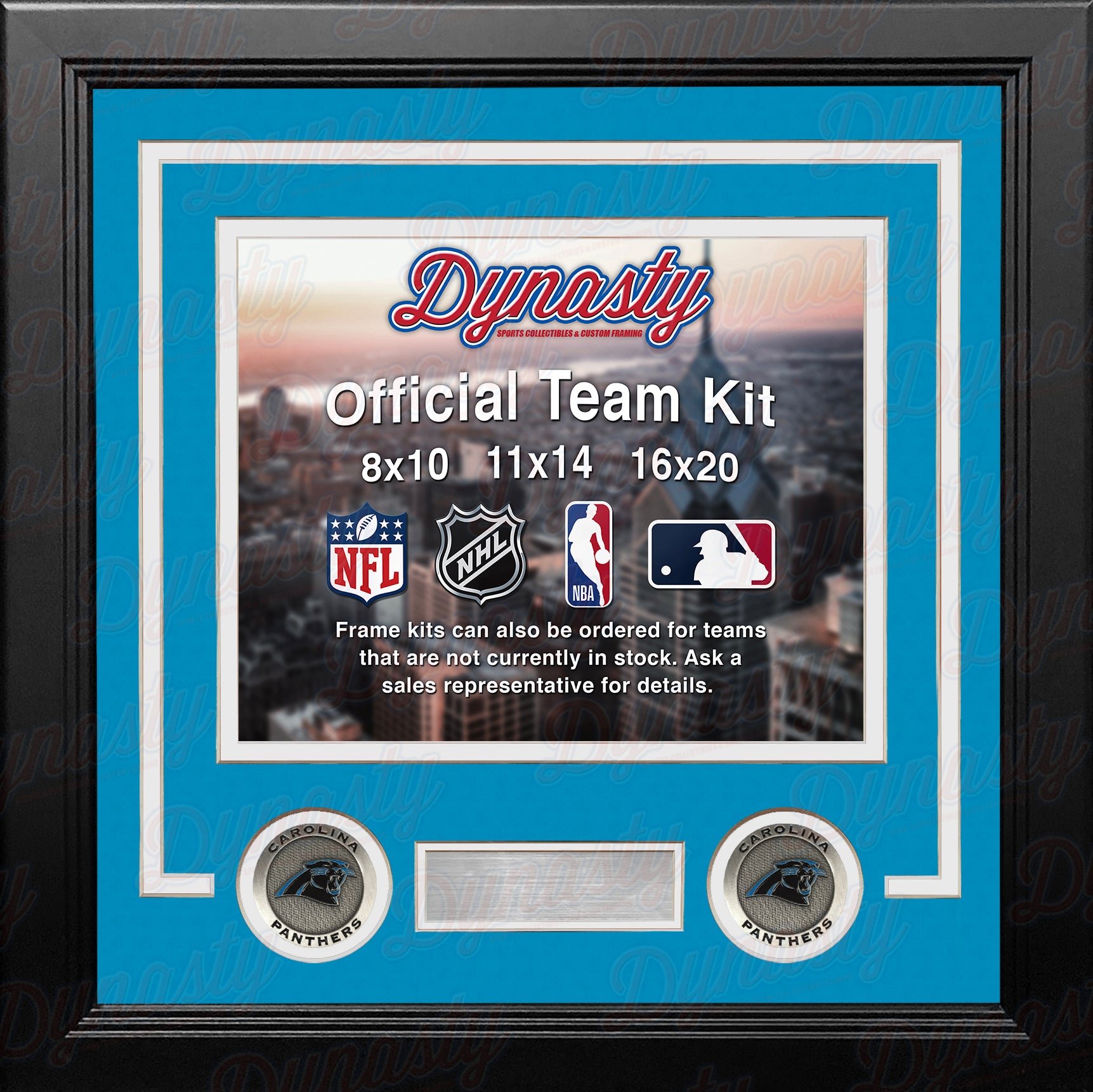 NFL Football Photo Picture Frame Kit - Carolina Panthers (Blue Matting, White Trim) - Dynasty Sports & Framing 