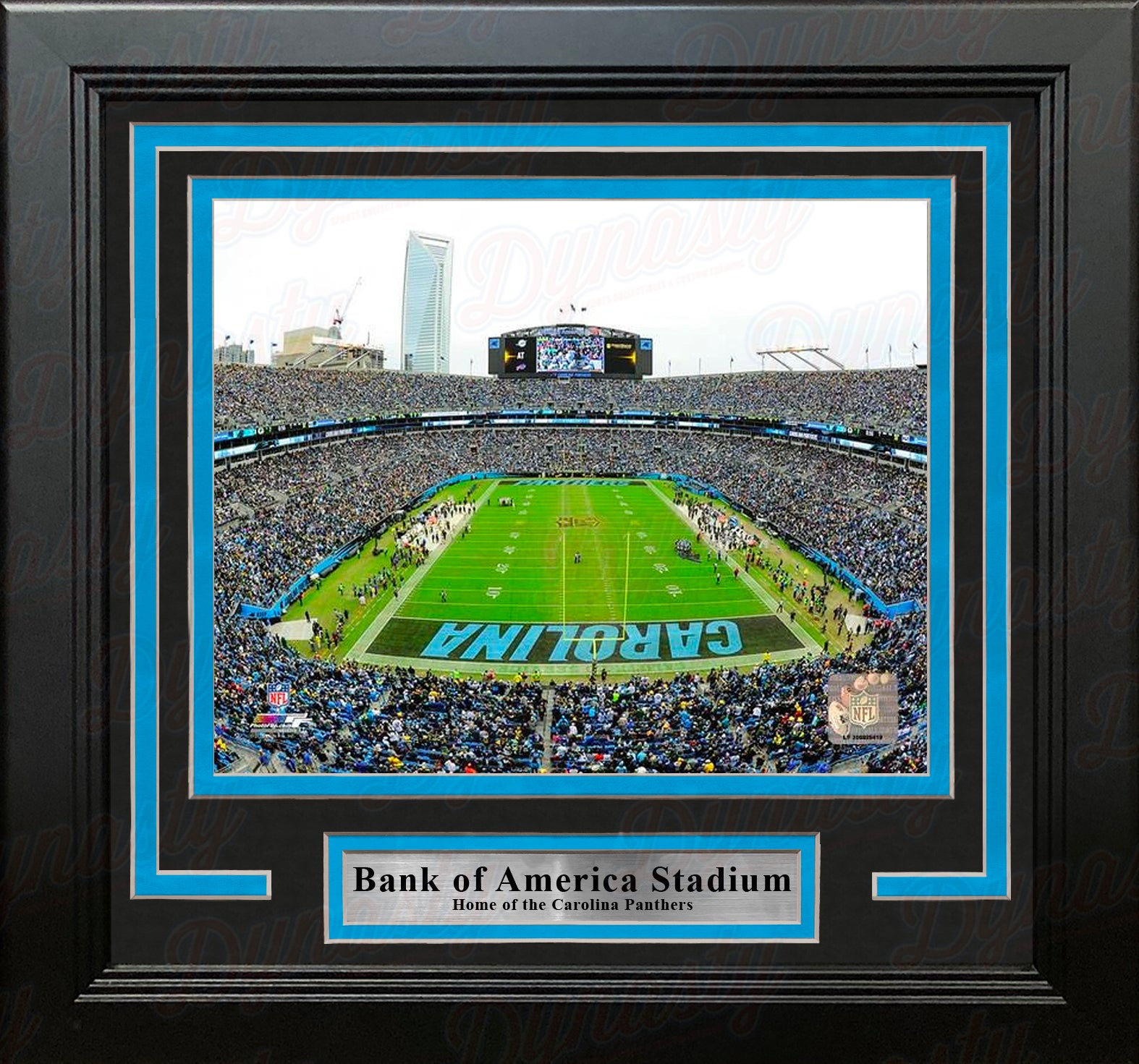 Carolina Panthers Bank of America Stadium NFL Football 8" x 10" Framed and Matted Photo - Dynasty Sports & Framing 