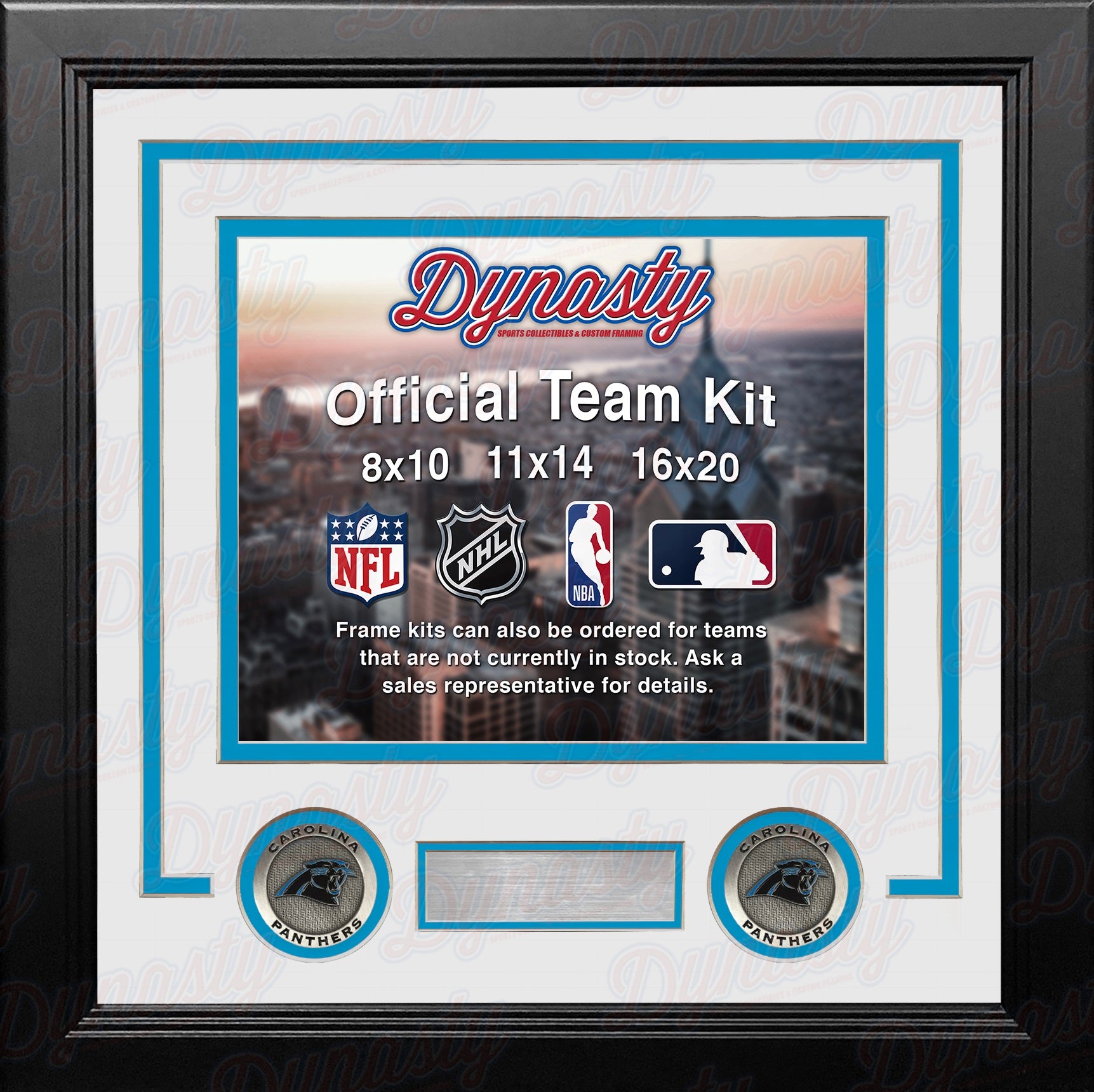 Carolina Panthers Custom NFL Football 16x20 Picture Frame Kit (Multiple Colors) - Dynasty Sports & Framing 