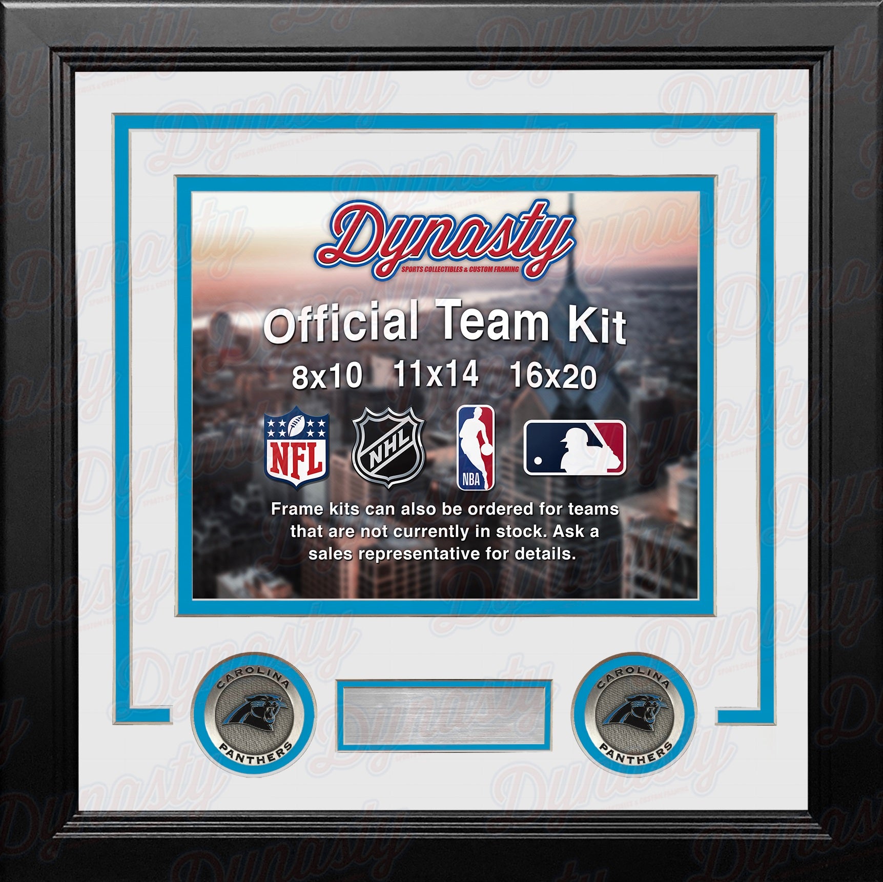 Carolina Panthers Custom NFL Football 11x14 Picture Frame Kit (Multiple Colors) - Dynasty Sports & Framing 