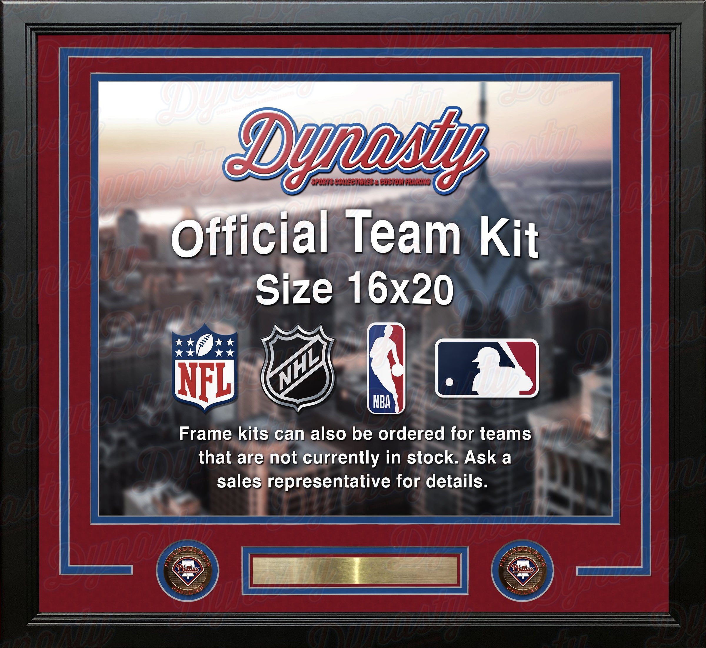 Philadelphia Phillies Custom MLB Baseball 16x20 Picture Frame Kit - Dynasty Sports & Framing 