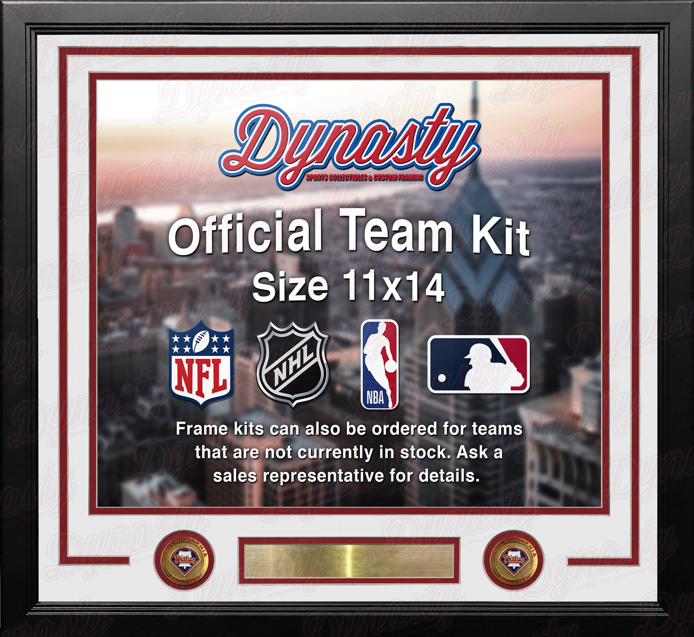 Philadelphia Phillies Custom MLB Baseball 11x14 Picture Frame Kit (Multiple Colors) - Dynasty Sports & Framing 