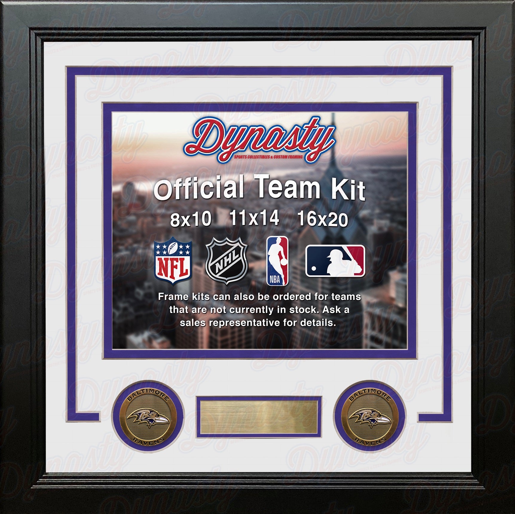 Baltimore Ravens Custom NFL Football 16x20 Picture Frame Kit (Multiple Colors) - Dynasty Sports & Framing 