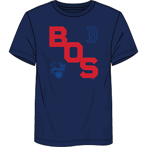 Boston Red Sox Fundamentals Record Shattered T-Shirt - Navy - Dynasty Sports & Framing 