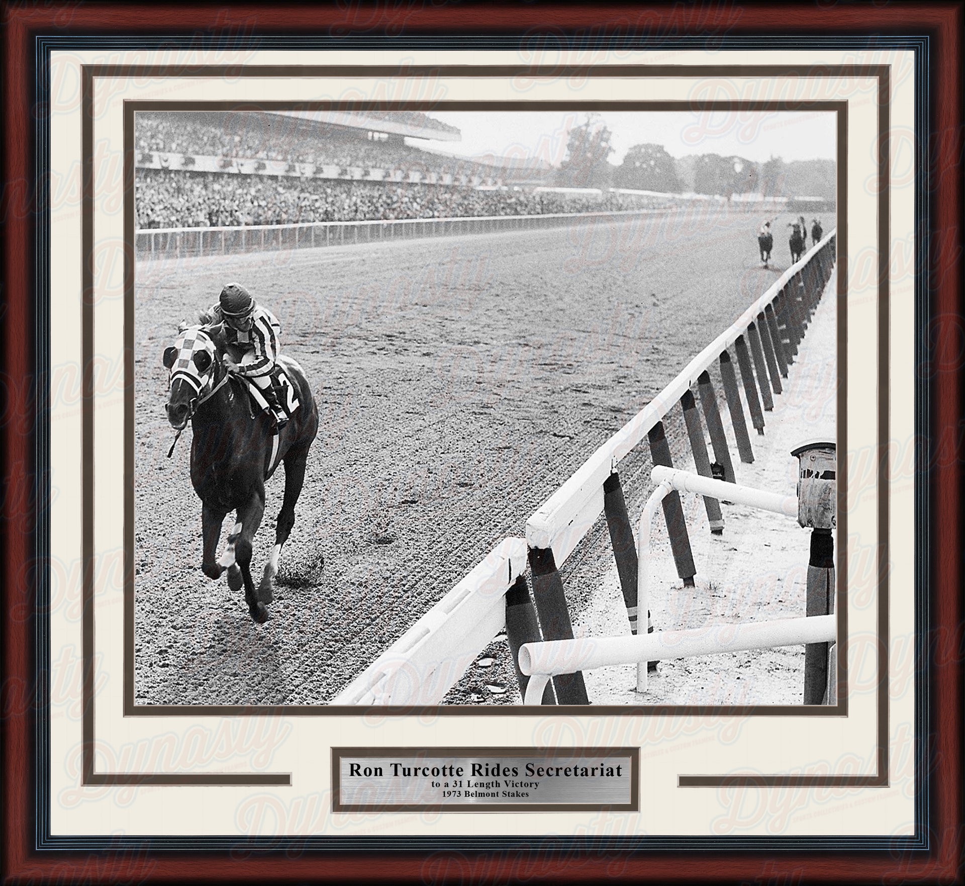 Ron Turcotte Riding Secretariat at the 1973 Belmont Stakes Framed Horse Racing Photo - Dynasty Sports & Framing 