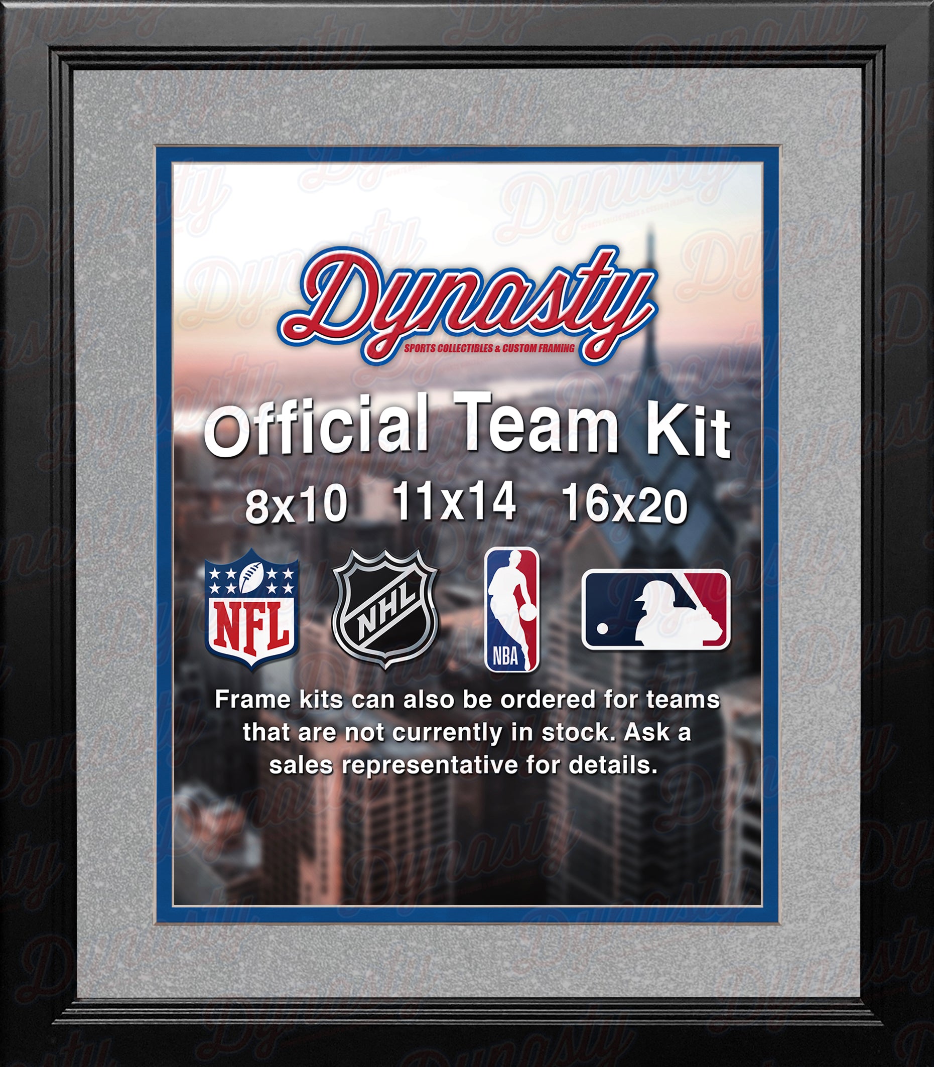 NBA Basketball Photo Picture Frame Kit - Orlando Magic (Silver Matting, Blue Trim) - Dynasty Sports & Framing 