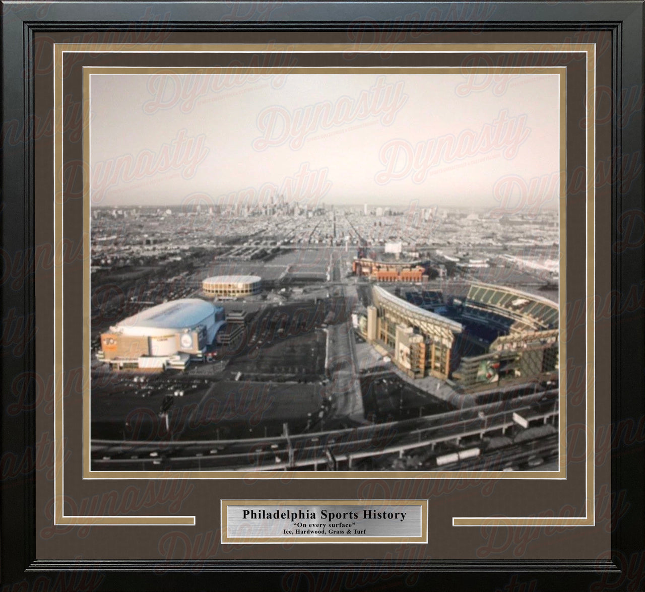 Philadelphia Sports Complex (Lincoln Financial, Citizen's Bank, Wells Fargo, Spectrum) Framed Photo - Dynasty Sports & Framing 