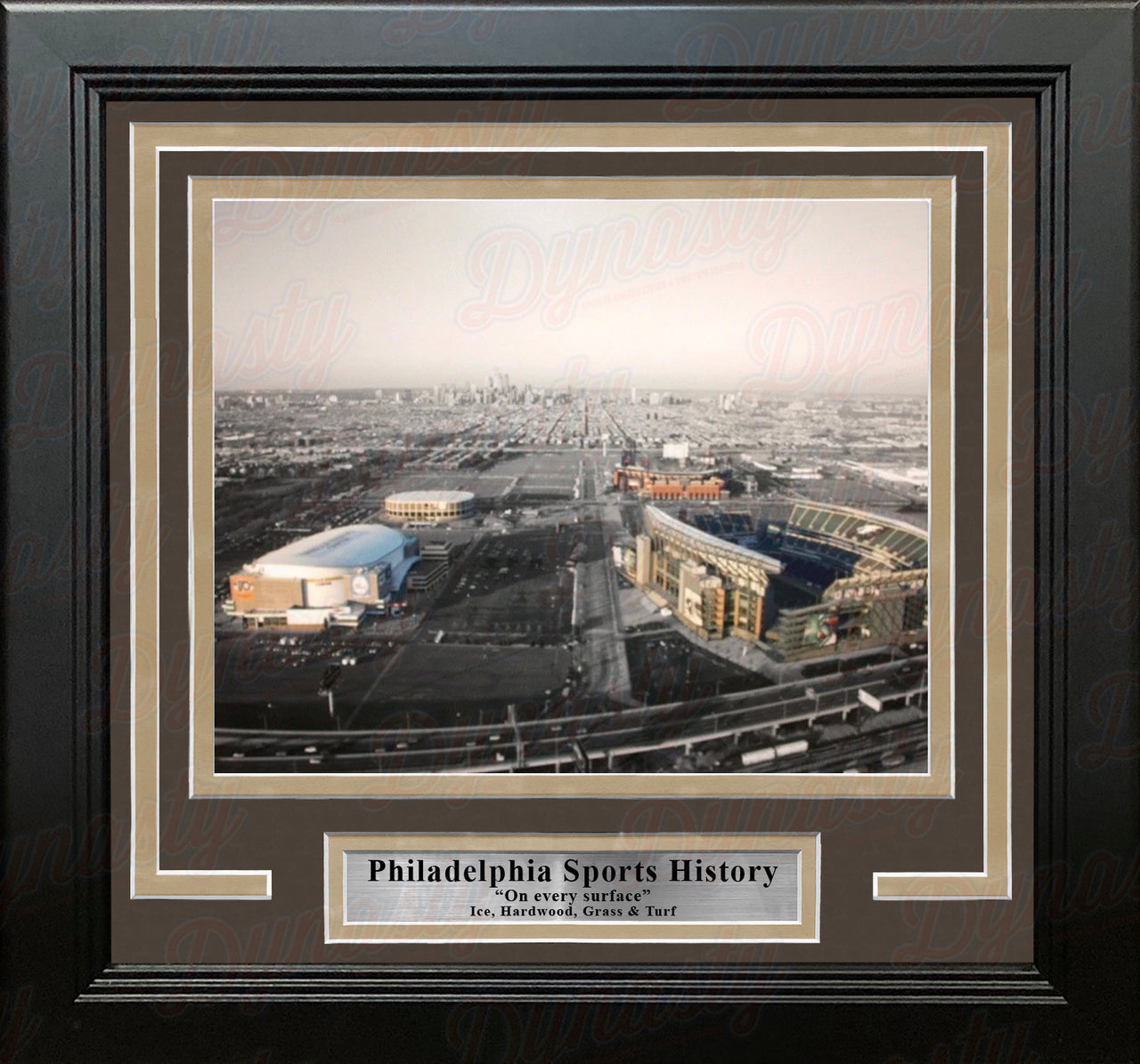 Philadelphia Sports Complex (Lincoln Financial, Citizen's Bank, Wells Fargo, Spectrum) Framed Photo - Dynasty Sports & Framing 