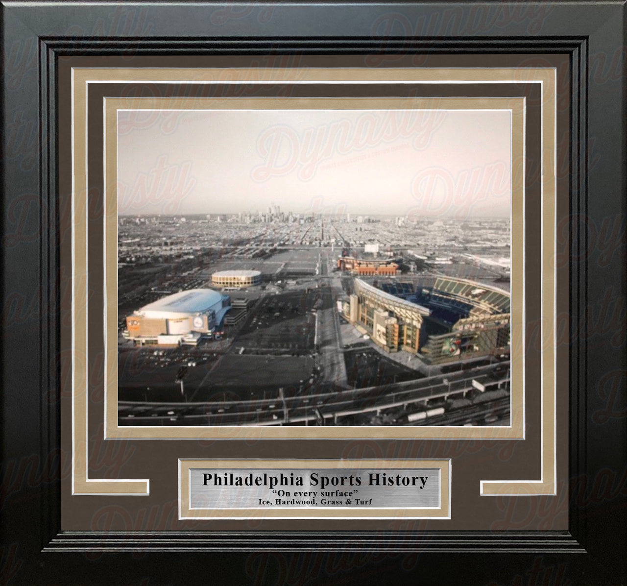 Philadelphia Sports Complex (Lincoln Financial, Citizen's Bank, Wells Fargo, Spectrum) Framed Photo - Dynasty Sports & Framing