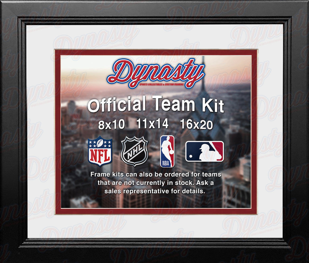 MLB Baseball Photo Picture Frame Kit - Cincinnati Reds (White Matting, Red Trim) - Dynasty Sports & Framing 
