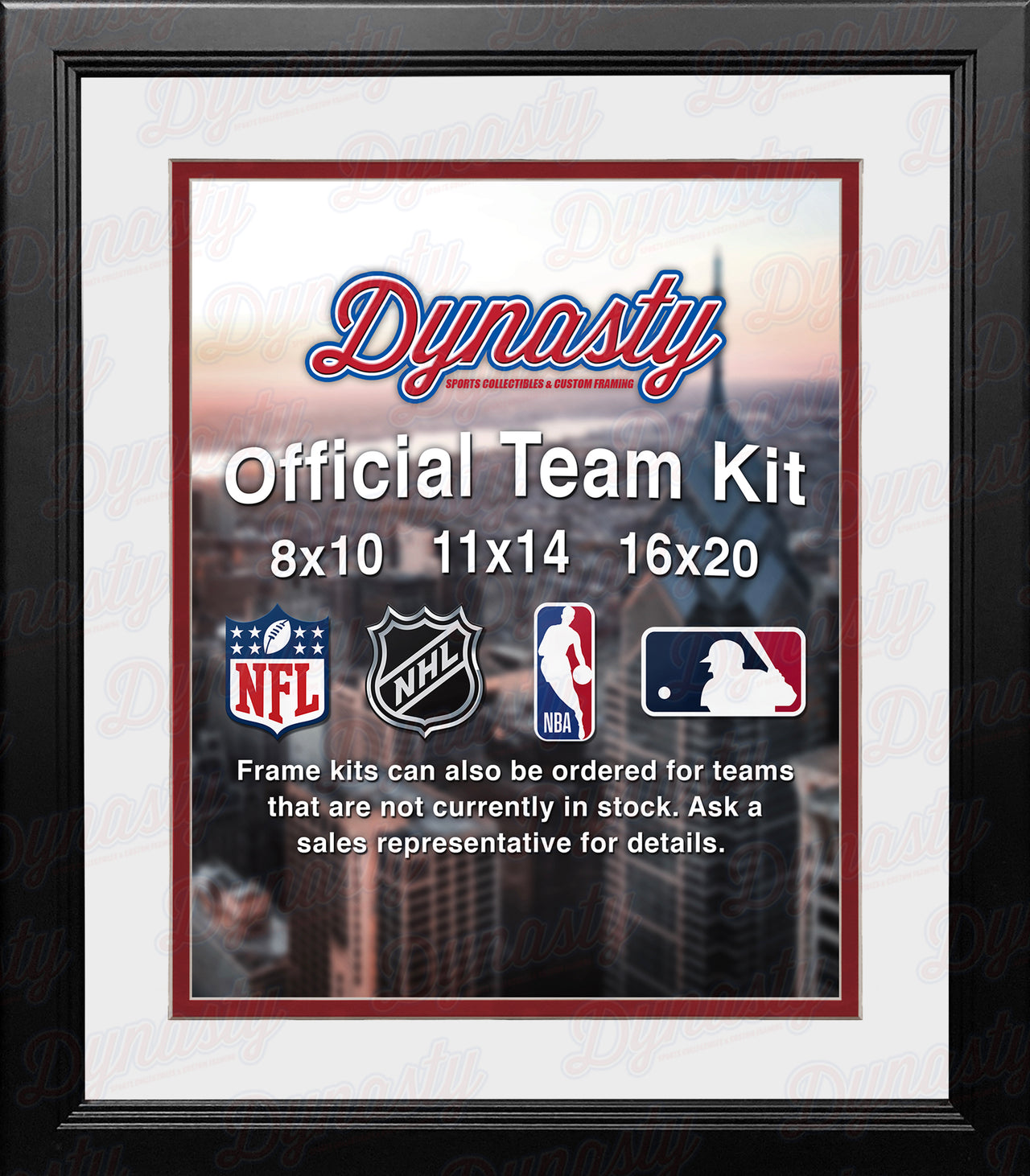 NHL Hockey Photo Picture Frame Kit - Detroit Red Wings (White Matting, Red Trim) - Dynasty Sports & Framing 