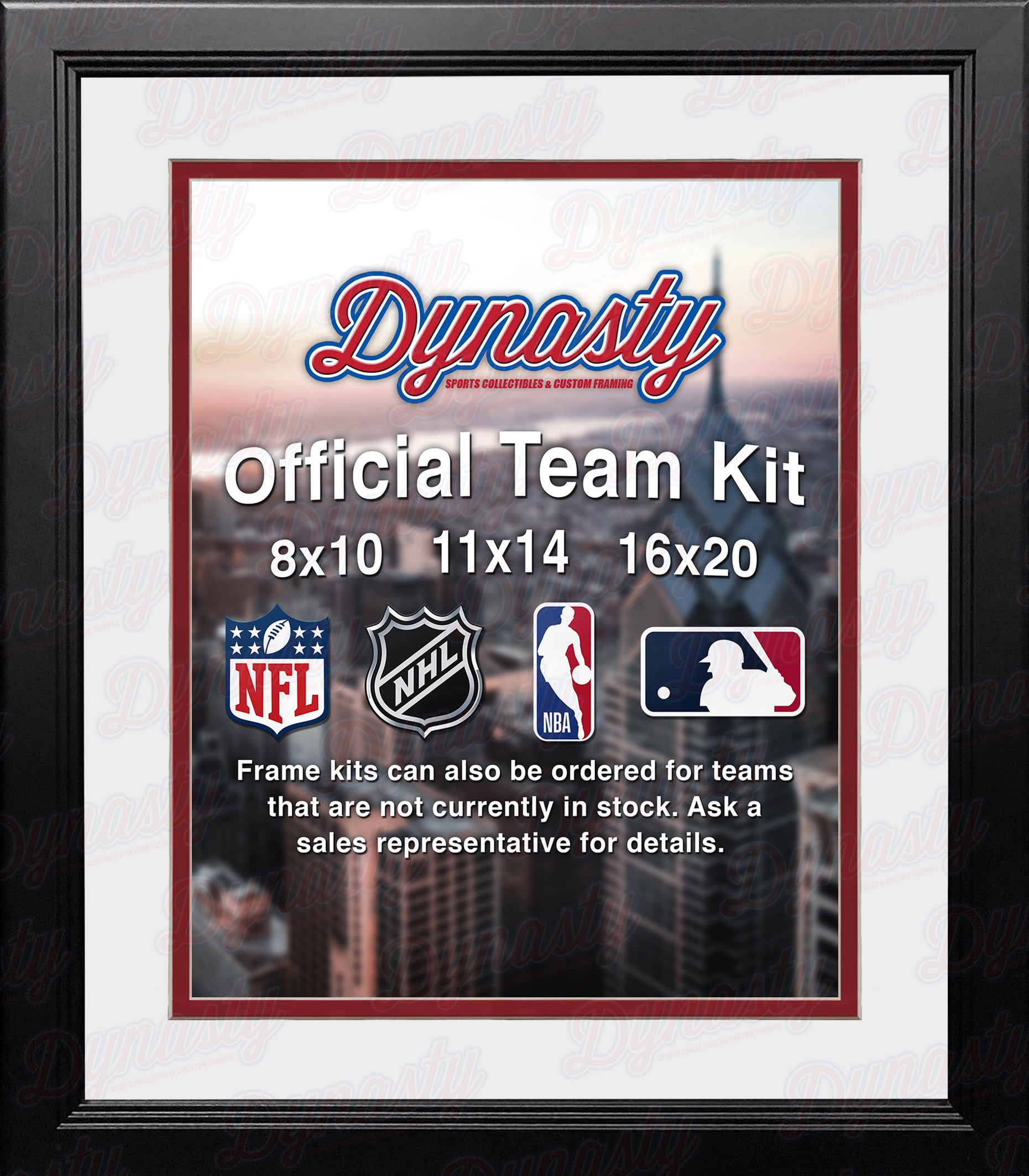 NHL Hockey Photo Picture Frame Kit - Detroit Red Wings (White Matting, Red Trim) - Dynasty Sports & Framing 