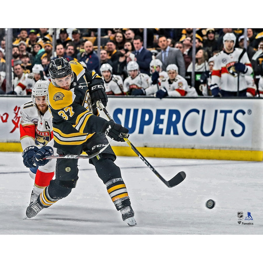 Patrice Bergeron in Action Boston Bruins 8" x 10" Hockey Photo - Dynasty Sports & Framing